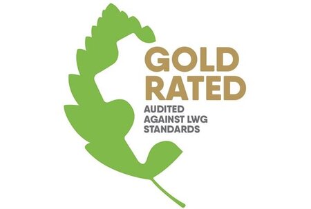 Gold Award for Derivados del Colageno SA (DERCOSA)