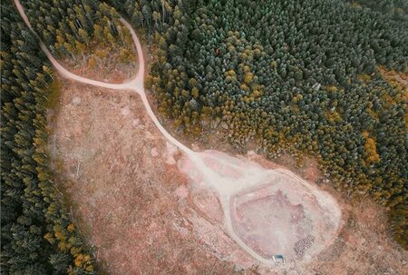 Update on Deforestation in Brazil from NWF