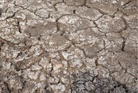 The Environmental Impact of Salt 