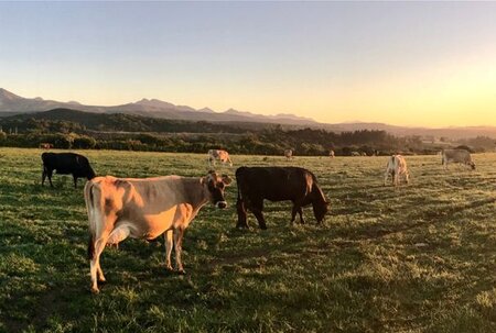 Animal Welfare Group Webinar â September 2020