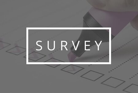 Your Say Survey