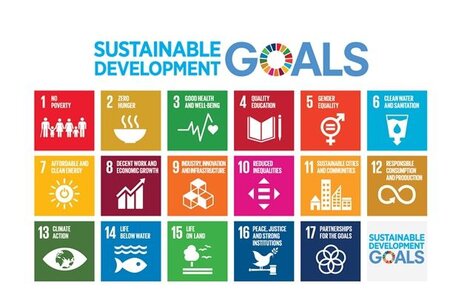 LWG & the UN Sustainable Development Goals