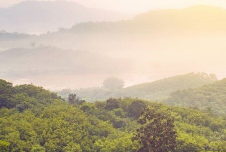 Future Plans for the LWG: Protocol 7 and Beyond
