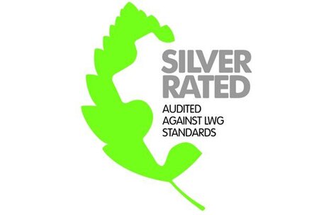 Silver Award for Prime International