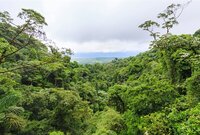 LWG accelerates traceability approach to tackle deforestation in leather supply chains