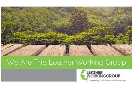 New LWG Promotional Brochure now published!