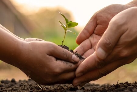 Update from the LWG Environmental Impact Working Group (EIWG) - Feb 2022