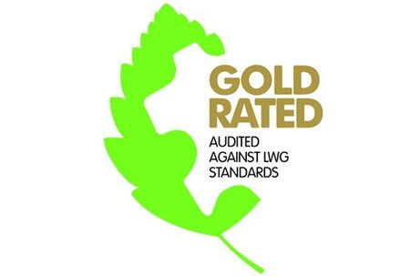 Gold Award for P A Footwear P Ltd