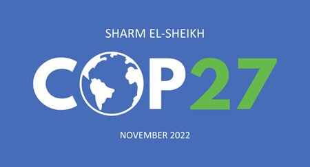 Leather Working Group endorses the COP27 Leather Manifesto