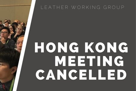 LWG Hong Kong Meeting Cancelled