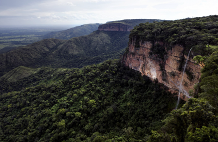 World Wildlife Fund Joins as a Partner for Deforestation-Free Call to Action