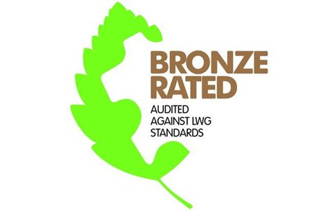 Bronze Award for Winners Co. Ltd.