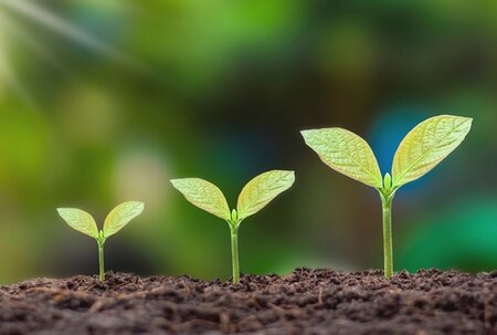 We're launching an Environmental Impact Working Group