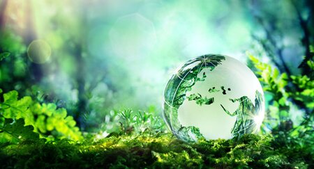 Sustainably Driven: Leather Working Group’s Highlights of 2022
