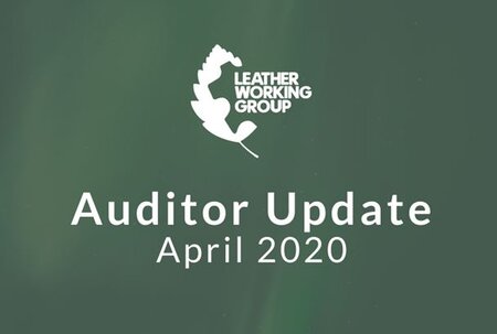 Approved auditor update - March 2020