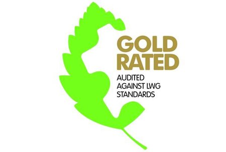 Gold Award for Alina PVT Limited