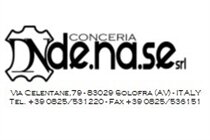 DE.NA.SE. Srl.